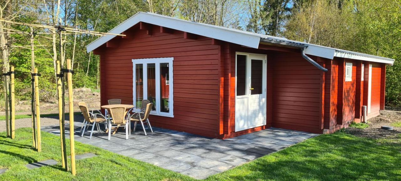 't Urkerbos - 5 Persoons Brabantse Blokhut Campsite Urk